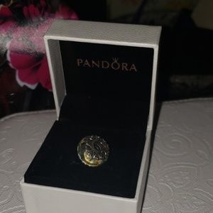 Pandora charm